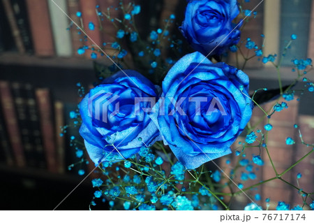 青い薔薇 76717174