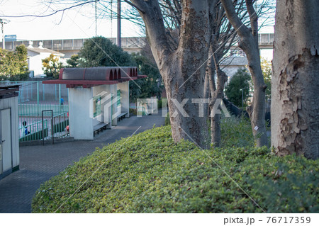 滝野川公園 テニスコート横/北区西ヶ原 滝野川公園 テニスコート横/北区西ヶ原 76717359