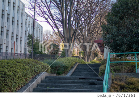 滝野川公園の階段／北区西ヶ原 76717361