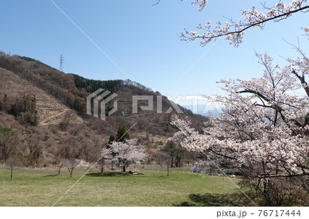 真田氏本城跡(2021年春) 真田氏本城跡(2021年春) 76717444