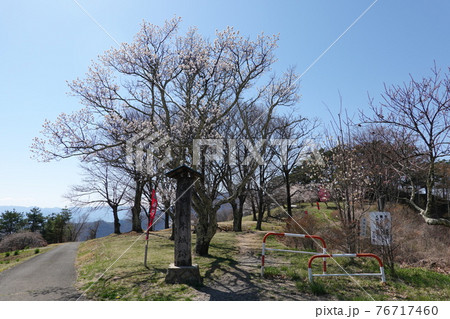 真田氏本城跡(2021年春) 真田氏本城跡(2021年春) 76717460