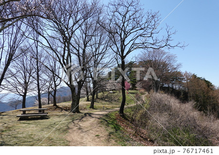 真田氏本城跡(2021年春) 真田氏本城跡(2021年春) 76717461