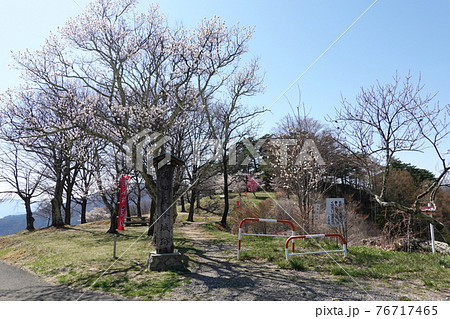 真田氏本城跡(2021年春) 真田氏本城跡(2021年春) 76717465