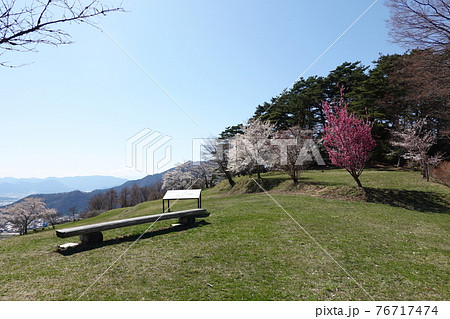 真田氏本城跡（2021年春） 76717474