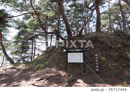 真田氏本城跡(2021年春) 真田氏本城跡(2021年春) 76717494