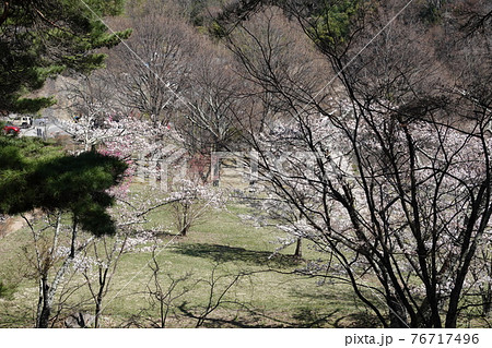 真田氏本城跡(2021年春) 真田氏本城跡(2021年春) 76717496