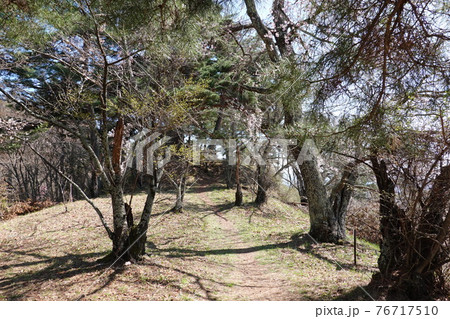 真田氏本城跡（2021年春） 76717510