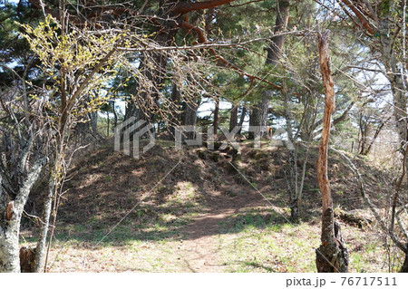 真田氏本城跡（2021年春） 76717511