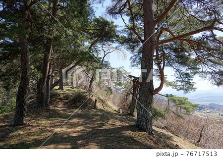 真田氏本城跡（2021年春） 76717513