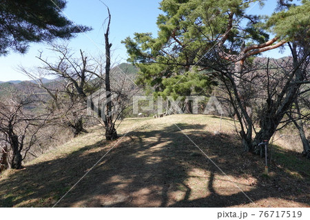 真田氏本城跡(2021年春) 真田氏本城跡(2021年春) 76717519