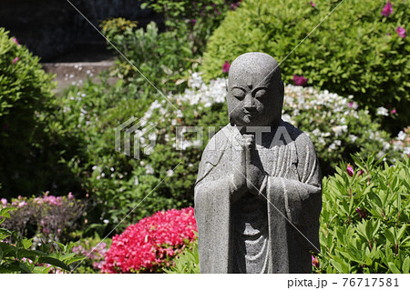 <神奈川県>仏行寺のつつじ <神奈川県>仏行寺のつつじ 76717581