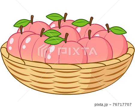 かご盛り もものイラスト素材