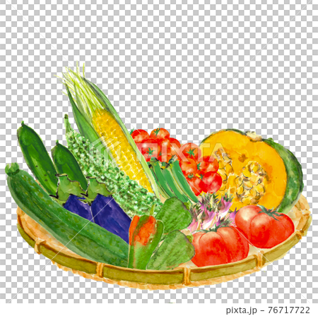 ザルに盛った夏野菜セット 水彩イラスト 素材 白バックpng コピースペースありのイラスト素材
