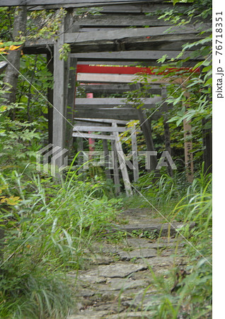 二ツ岩大明神へと続く参道(佐渡島/新潟県佐渡市相川下戸村574) 二ツ岩大明神へと続く参道(佐渡島/新潟県佐渡市相川下戸村574) 76718351