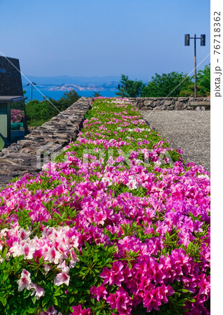 ツツジ咲く五色台から瀬戸内海の眺め 76718362
