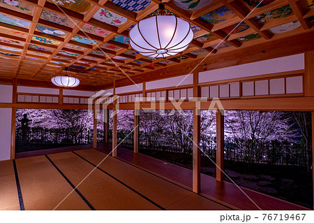 京都　正寿院の桜のライトアップと周辺 76719467