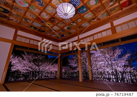 京都　正寿院の桜のライトアップと周辺 76719487