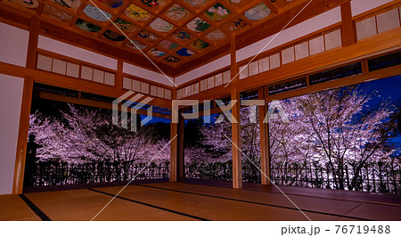 京都　正寿院の桜のライトアップと周辺 76719488