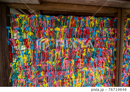 京都 正寿院の桜のライトアップと周辺 京都 正寿院の桜のライトアップと周辺 76719646