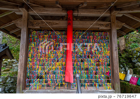 京都 正寿院の桜のライトアップと周辺 京都 正寿院の桜のライトアップと周辺 76719647