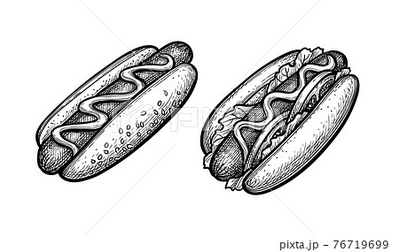 Ink sketch of hot dog. 76719699
