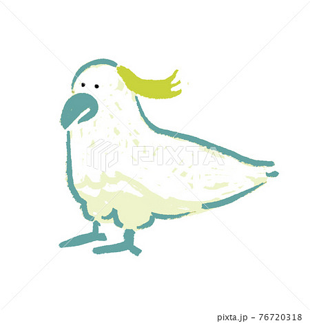 手描き風オーストラリアの動物　キバタン 76720318