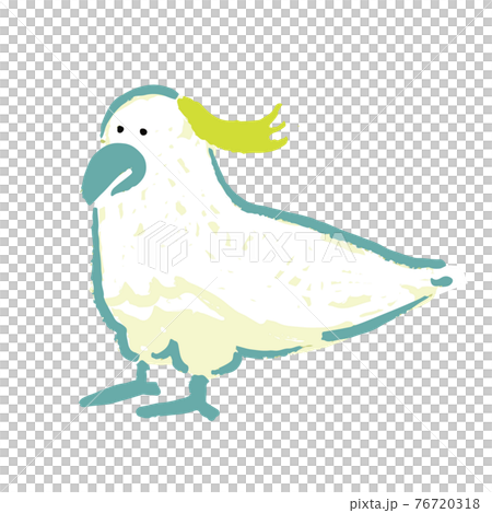 手描き風オーストラリアの動物　キバタン 76720318