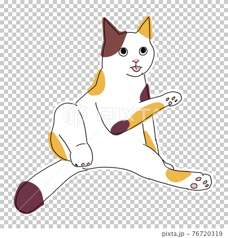 Illustration of the whole body of a calico cat grooming and sticking out his tongue 76720319
