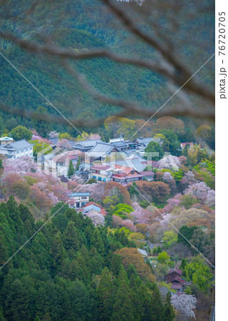 吉野山の展望 76720705