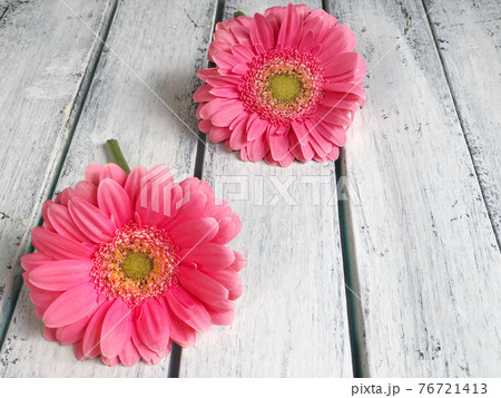 pink gerbera daisy flowers on wooden background 76721413