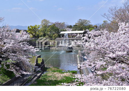 京都・蹴上インクライン南禅寺舟溜りと桜 京都・蹴上インクライン南禅寺舟溜りと桜 76722080