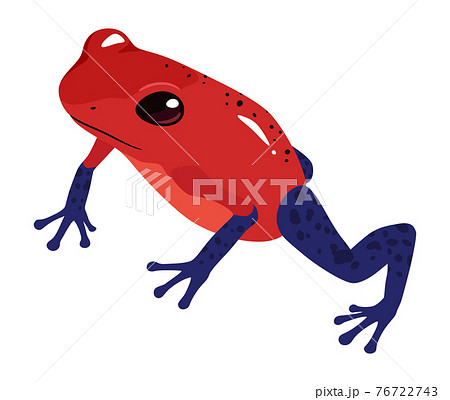イチゴヤドクガエルのイラスト かわいいカエルのイラスト素材