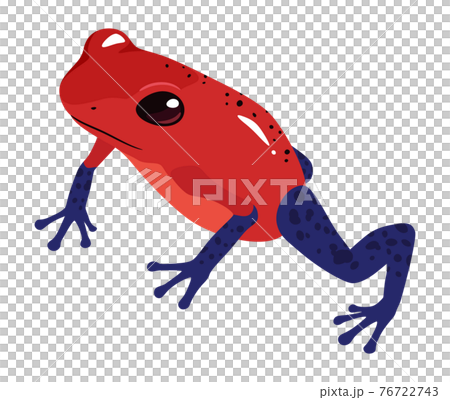 草莓毒箭蛙插畫_可愛的青蛙 76722743