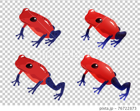 イチゴヤドクガエルのイラスト素材セット かわいいカエルのイラスト素材