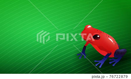葉っぱに乗ったイチゴヤドクガエルの背景イラスト かわいいカエル 16 9のイラスト素材