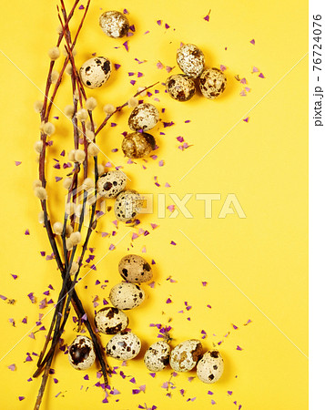 The easter composition of the willow branches and quail eggs on the yellow. 76724076