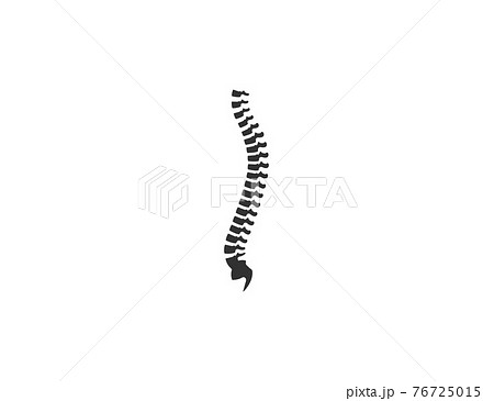 Human spine, anatomy, backbone icon. Vector illustration. Human spine, anatomy, backbone icon. Vector illustration. 76725015