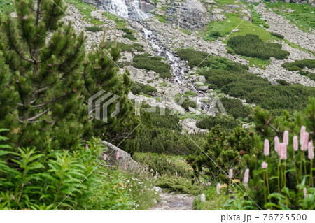 Mountain stream with view of rocky mountains and green valley with flowers 76725500