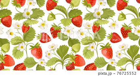 Watercolor Seamless Strawberry pattern with flowers, wild berries, leaves. Vector background texture Watercolor Seamless Strawberry pattern with flowers, wild berries, leaves. Vector background texture 76725552