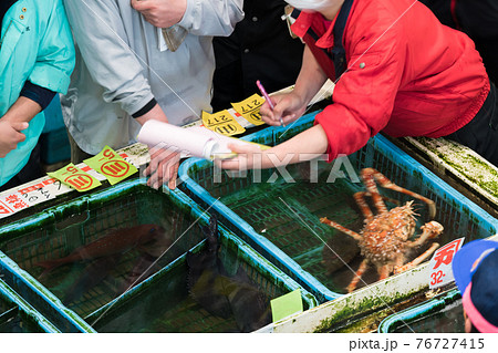 【魚市場 タカアシガニの競り】 【魚市場 タカアシガニの競り】 76727415