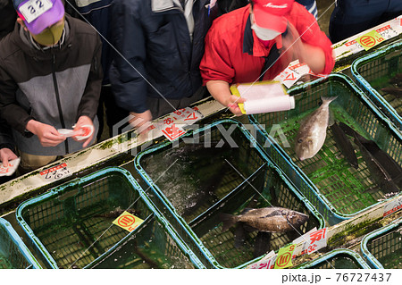 【魚市場　黒鯛の競り】 76727437