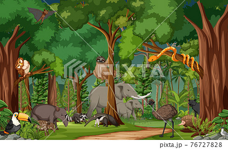 Wild animal cartoon character in the forest scene Wild animal cartoon character in the forest scene 76727828