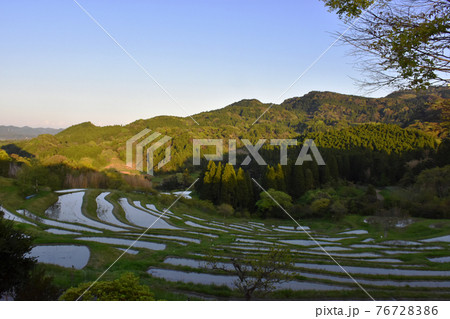 夕暮れの大山千枚田 千葉県鴨川市 夕暮れの大山千枚田 千葉県鴨川市 76728386