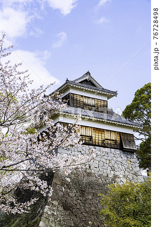 桜満開の熊本城 未申櫓（2021年3月22日撮影） 76728498