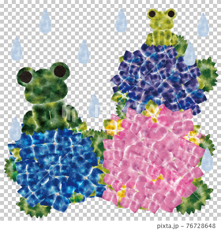 繡球花，青蛙，雨 76728648