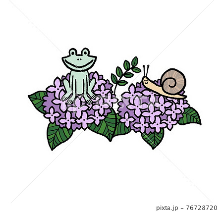 紫陽花にカエルとカタツムリがいるイラストのイラスト素材