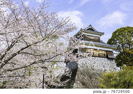 桜満開の熊本城 未申櫓（2021年3月22日撮影） 76729500