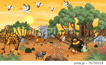 African forest landscape background 76730528