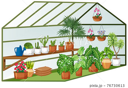 Open view of Greenhouse with many plants inside Open view of Greenhouse with many plants inside 76730613