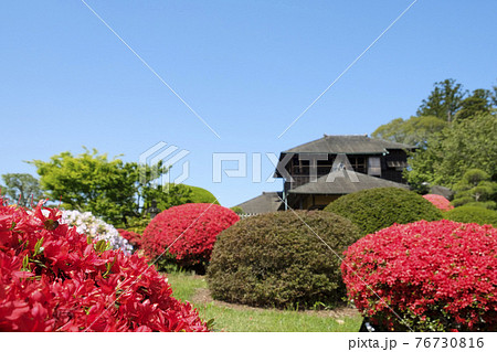 水戸市偕楽園の霧島ツツジの花と好文亭 76730816
